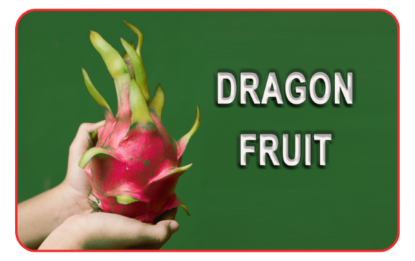 Dragon-Fruit